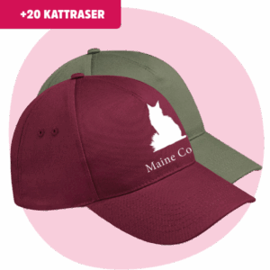 Kattkeps med Rassiluetter