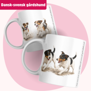Dansk-svensk gårdshund Mugg – Vad vore livet utan... | Flera pälsfärger