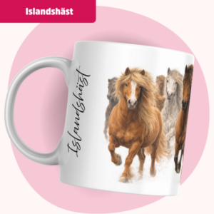 Islandshäst Mugg – Kraftfulla springare