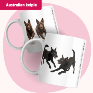 Australian kelpie Mugg - Vad vore livet utan... | Flera pälsfärger