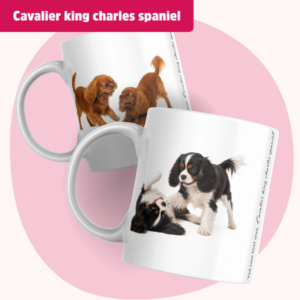 Cavalier king charles spaniel Mugg - Vad vore livet utan... | Flera pälsfärger