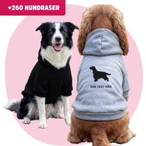 En bild med 2 hundar, en sittande svart och vit border collie som tittar rakt fra, och en röd cocker spaniel med ryggen emot som har en grå hoodie med ett svart cocker spaniel tryck och texten "Din text här" på ryggen. Även en banner i vänstra hörnet där det står +260 hundraser.
